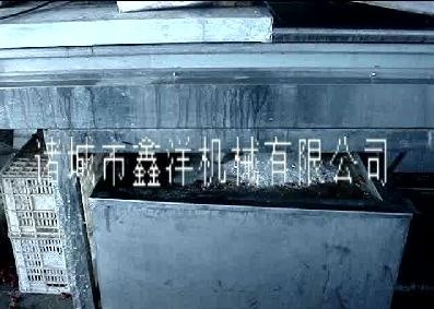 大枣清洗机的出厂前试用