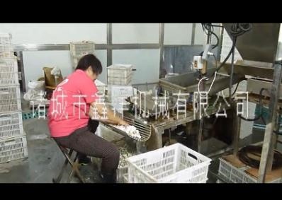 剥皮机的出厂前试用