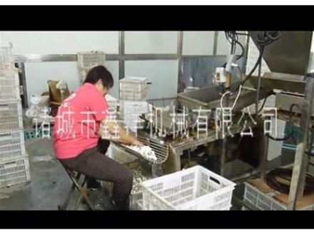 剥皮机的出厂前试用