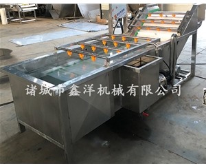 果蔬气泡清洗机